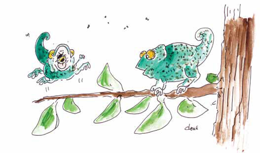 That’s one way to learn not to catch the black and yellow striped ones.