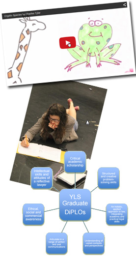 Images from session slides; Video, student working, feedback diagram
