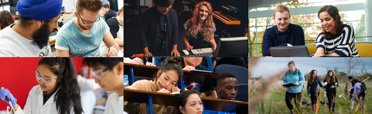 Varied teaching methods at York: Lectures, fieldwork, labs, practicals, pairwork, and online discussions.